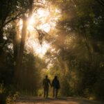 Couple walking hand in hand through a sunlit forest trail for engagement photos