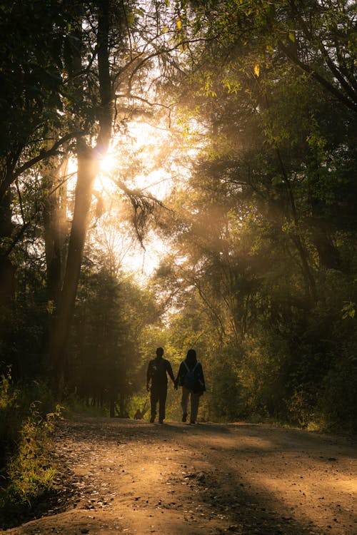Couple walking hand in hand through a sunlit forest trail for engagement photos