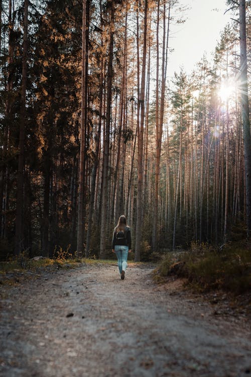 Woman walking along a sunlit autumn forest trail for fall photoshoot ideas