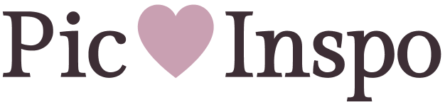 Pic Inspo logo