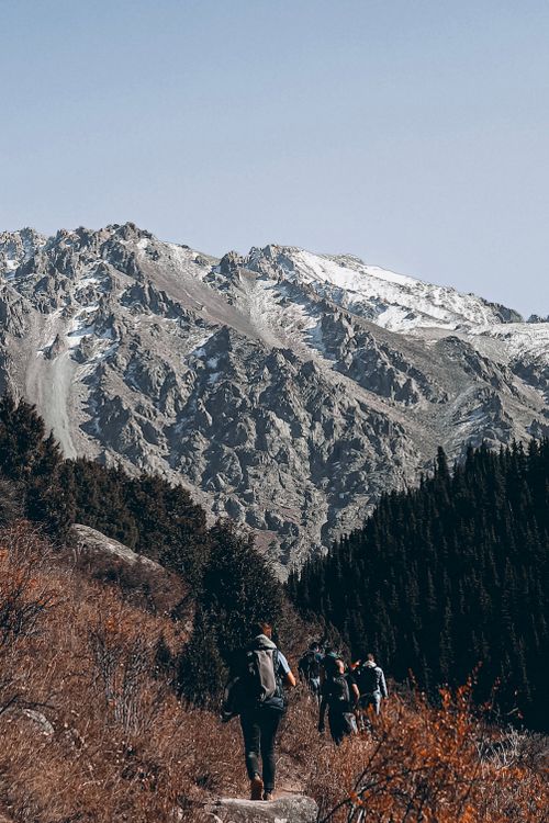 Group of hikers with backpacks on a mountain trail